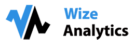 Wize Analytics